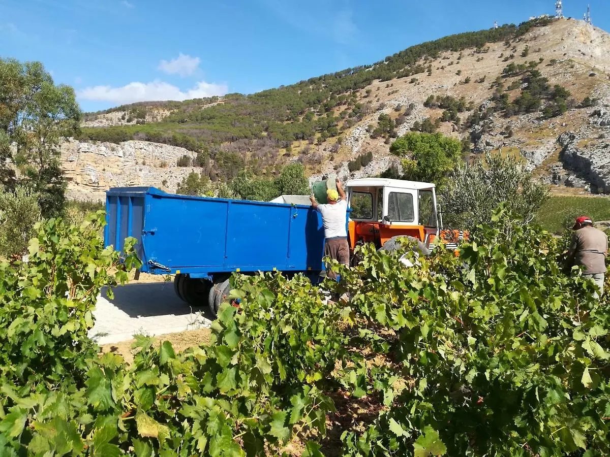 Villa Bonifato Vista Sulle Campagne E Sul Mare Siciliano Cozy House Italy Alcamo 0*,  Italien
